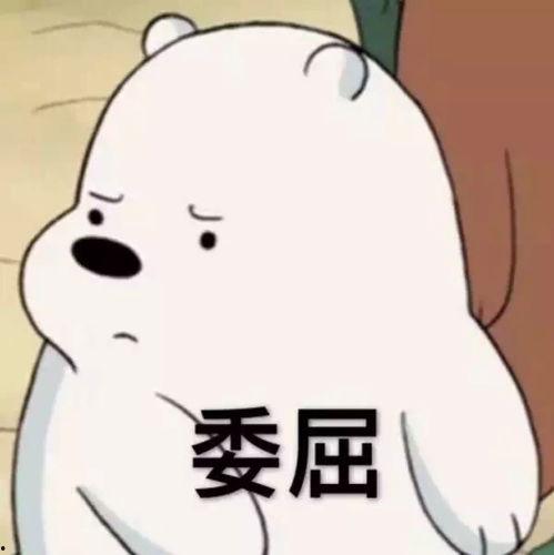 许巍洲的表情包